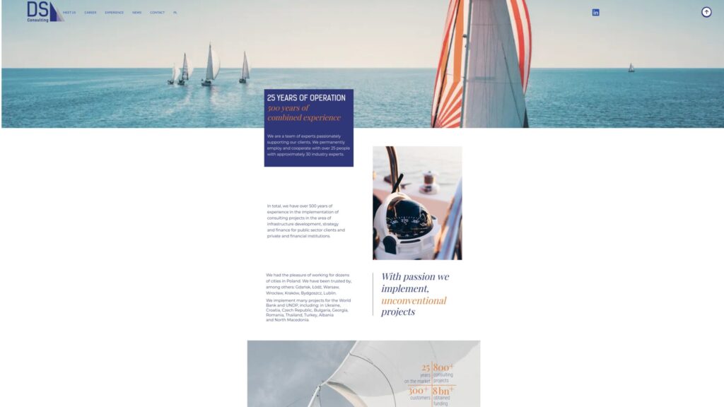 dsConsulting_printscreen