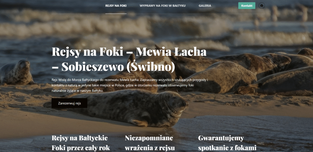 Rejsy na Foki